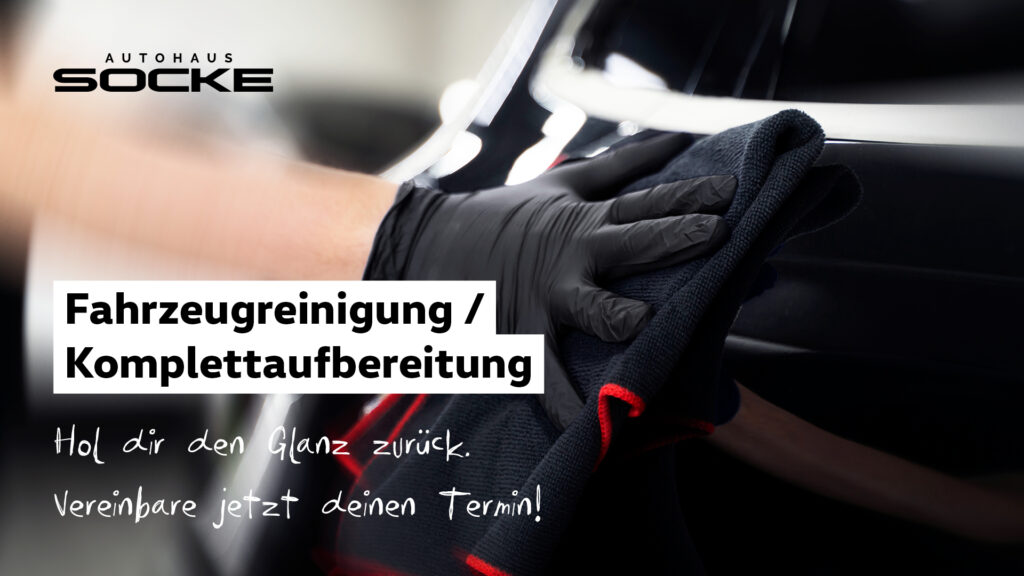 Fahrzeugreiningung ab 89,85 €