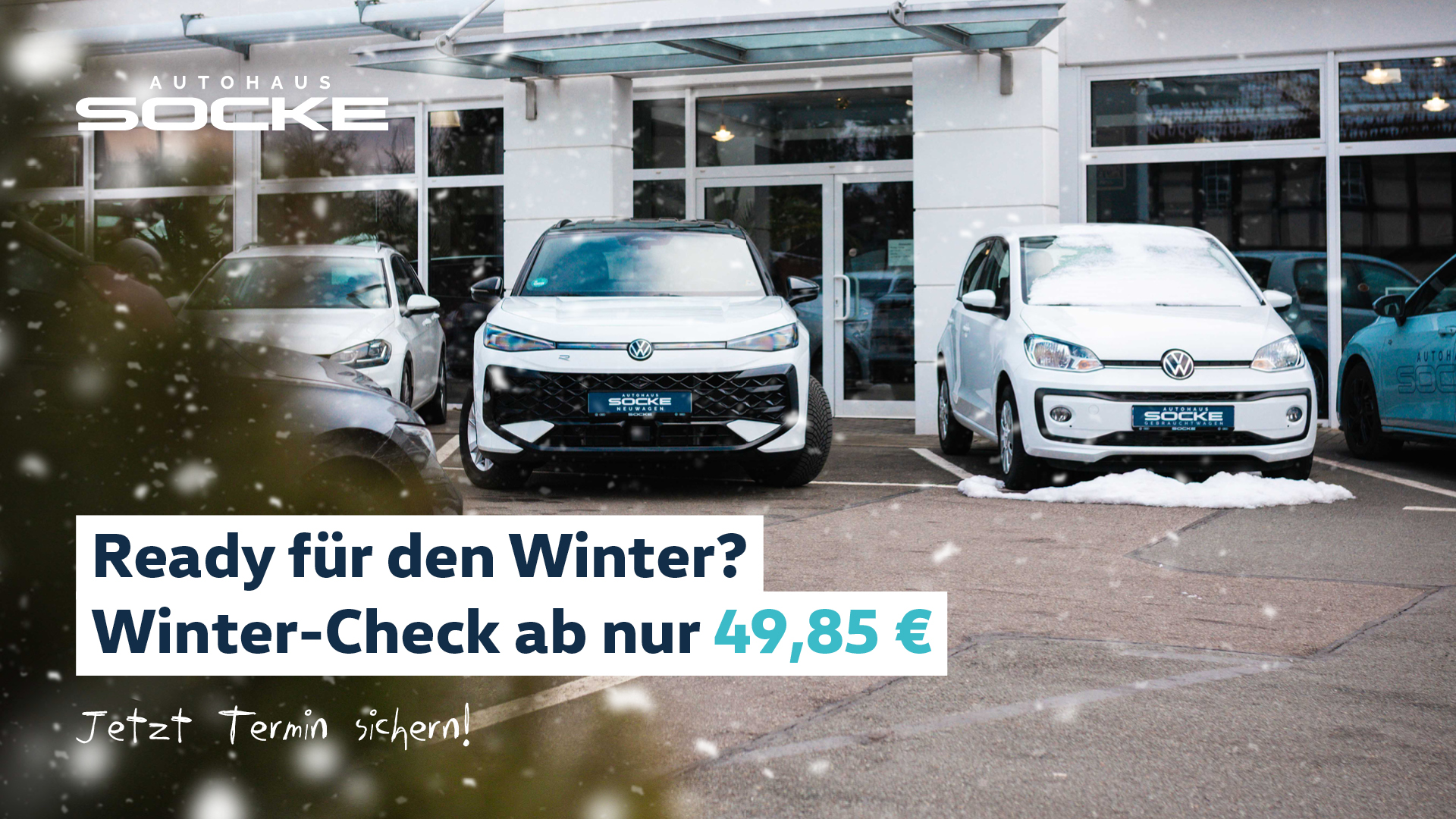 Winter Check ab 19,85 €